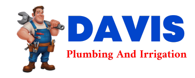 Trusted plumber in COWAN